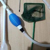 غذا و دارو ماهی|ماهی|نظرآباد, شهرک فرهنگیان|دیوار