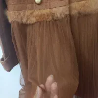 پالتو مجلسی