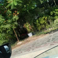 خانه اجاره ای سورو باشه حتمن خبر بدین