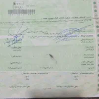 موتورسیکلت هوندا ۱۲۵|موتورسیکلت|قم, زنبیل آباد|دیوار