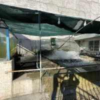 کافه رستوران- فعال|فروش دفتر صنعتی، کشاورزی، تجاری|شلمان, |دیوار