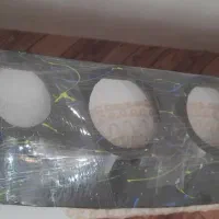 یک عدد طاقچه ی پژو