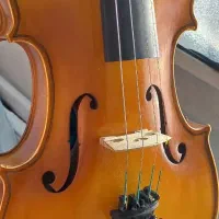 ویولن سالم و کم‌کار  TF142