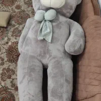 خرس ولنتاین|اسباب‌‌بازی|مشهد, کشف|دیوار