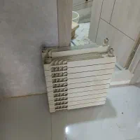 فروشنده و خریدار رادیاتور آلومینیومی|آبگرمکن، پکیج، شوفاژ|کرج, گلشهر|دیوار