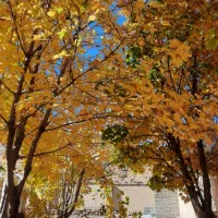 ۳ قطعه باغشهری بهارستان