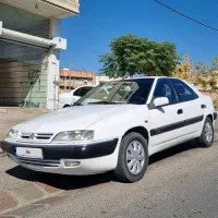 زانتیا درحد خشک