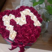 رز ربانی|گل مصنوعی|جیرفت, |دیوار