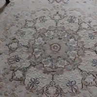 ۲تخته فرش ۹متری پاتریس گل برجسته کرم وصورتی
