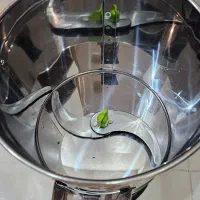 سبزی خرد کن|خردکن، آسیاب، غذاساز|اهواز, کمپلو شمالی|دیوار