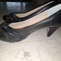 کفش مجلسی|کیف، کفش، کمربند|کرمان, |دیوار