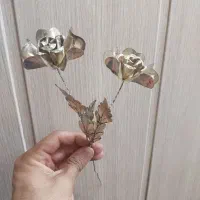 شاخه گل نقره