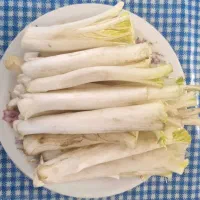 کنگر ترد، شیرین و تازه