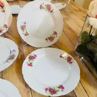 حراج گل سرخی ژاپن یاماتاسو ژاپن اصل قدیمی|حراج|مشهد, هنرستان|دیوار