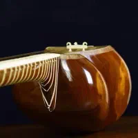 تدریس تار و سه تار حضوری و آنلاین|خدمات آموزشی|رودهن, |دیوار