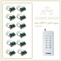 ریموت کنترل 12 کانال نرمال روشن همراه با ریموت