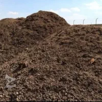 کود مرغ تخم گذار