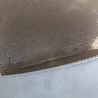 کیف|کیف، کفش، کمربند|شیراز, حجت آباد|دیوار