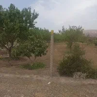 ویلاباغ