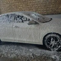 **استخدام نیرو کارواش**