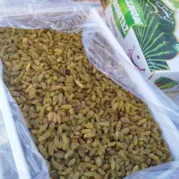 کشمش سبز اسگری کاشمر قلمی