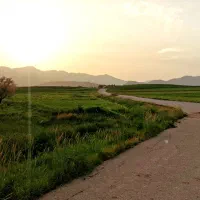 فروش چند قواره زمین واگذاری_سرآبتاوه_شهرک ولایت