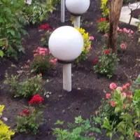 باغبانی وسمپاشی