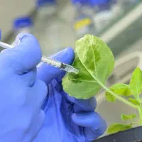 کار در فروشگاه کود و سم کشاورزی در دهدشت