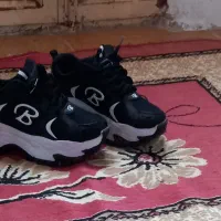 کتانی سایز ۳۷