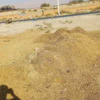 کود گوسفندی