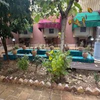 استخدام باریستا خانم یا اقا