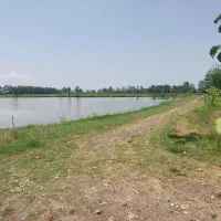 کارگر ساده برای پرورش ماهی