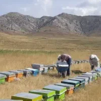 عسل ناب آذربایجان شرقی صددرصد خالص وبدون افزودنی|خوردنی و آشامیدنی|اردبیل, |دیوار