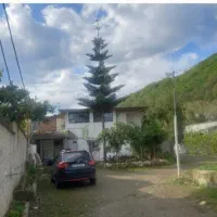 اجاره روزانه وسالیانه