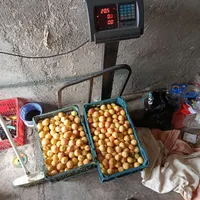 کارگر باغ