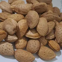 بادام‌سنگی