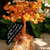 درخت جواهری عقیق