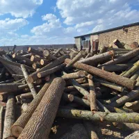 پالت چوبی و غیره|عمده‌فروشی|زیباشهر, |دیوار