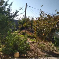 فروش منزل ویلایی بازسازی شده در شهر راین|فروش خانه و ویلا|راین, |دیوار