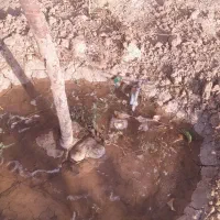 باغ-ویلایی-زیبا