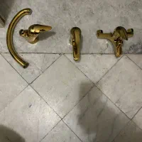 ۶ عدد شیر نو طلایی