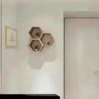 همخانه-خانم