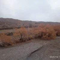 زمین واب نهبندان