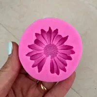 قالب سیلیکون|صنایع دستی و سایر لوازم تزئینی|همدان, |دیوار