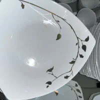 سرویس چینی ۱۸ نفره سپیدار|ظروف سرو و پذیرایی|رباط‌کریم, رباط‌کریم|دیوار