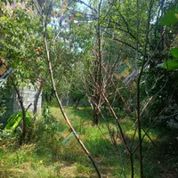 خانه باغ مسکونی جاده شیرگاه لفور