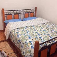 تخت دو نفره فرفوژه در حد نو و کاملا سالم