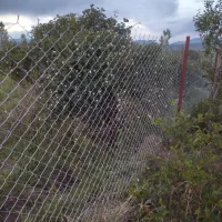 فنس کشی و احداث باغ