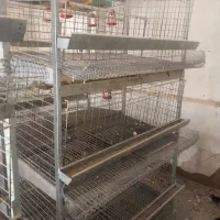 قفس مرغ