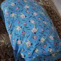 پتوی مسافرتی و بالش